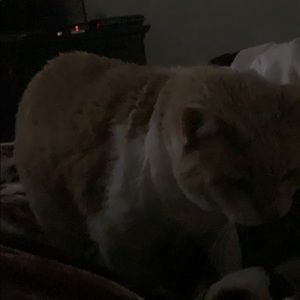 Meet your Posher, Johnny